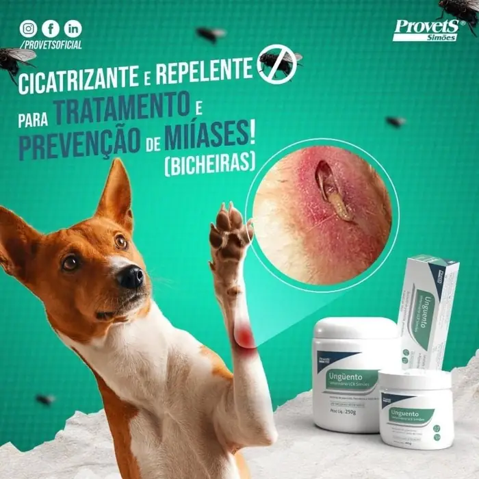 Unguento Vansil · 50 g