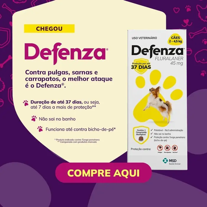 Defenza